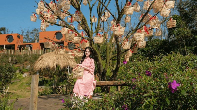 https://files.locallife.asia/images/800/1765078447197-Thiết kế chưa có tên (26).png